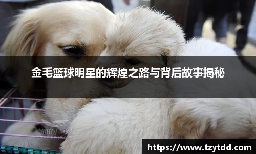 leyu.com